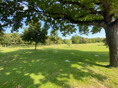 Baumbestattung Parkfriedhof Heiligenstock